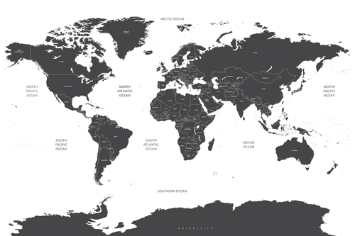 QUADRO MAPPAMONDO CON I SINGOLI STATI IN GRIGIO - QUADRI MAPPE - QUADRI