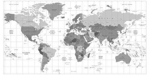 OBRAZ NA KORKU ŠEDÁ MAPA NA BÍLÉM POZADÍ - OBRAZY NA KORKU - OBRAZY