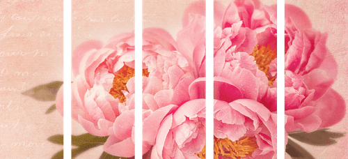 5-PIECE CANVAS PRINT GENTLE PEONY - VINTAGE AND RETRO PICTURES - PICTURES