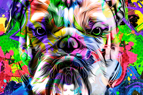 Quadro bulldog in stile pop art