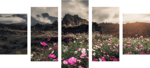 5-PIECE CANVAS PRINT MEADOW OF BLOOMING FLOWERS - PICTURES OF NATURE AND LANDSCAPE - PICTURES