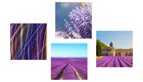 CANVAS PRINT SET LAVENDER FIELDS WITH BEAUTIFUL ABSTRACTION - SET OF PICTURES - PICTURES