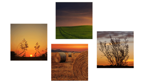 CANVAS PRINT SET ROMANTIC SUNSET ON A MEADOW - SET OF PICTURES - PICTURES