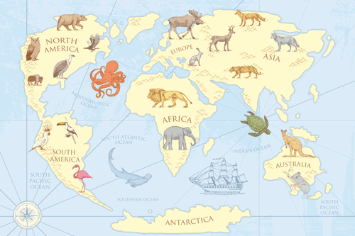 DECORATIVE PINBOARD WORLD MAP WITH ANIMALS - PICTURES ON CORK - PICTURES