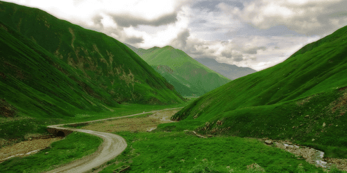 WANDBILD GRÜNE LANDSCHAFT - BILDER VON NATUR UND LANDSCHAFT - BILDER