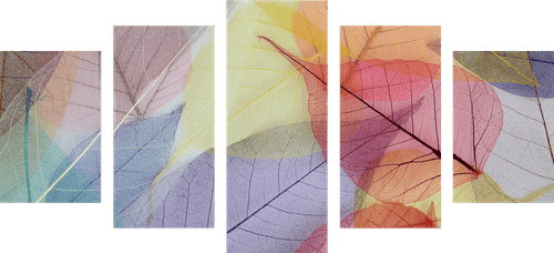 5-PIECE CANVAS PRINT VEINS ON COLORED LEAVES - STILL LIFE PICTURES - PICTURES