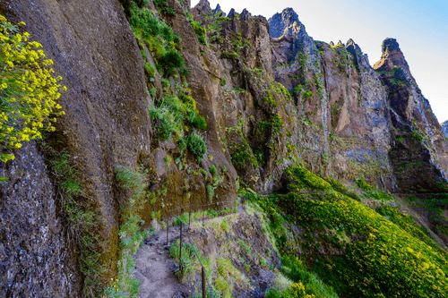 SLIKA OZKA TURISTIČNA STEZA - SLIKE NARAVE IN POKRAJINE - SLIKE