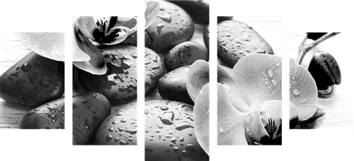 5-PIECE CANVAS PRINT BEAUTIFUL INTERPLAY OF STONES AND ORCHIDS IN BLACK AND WHITE - BLACK AND WHITE PICTURES - PICTURES