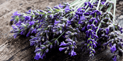 QUADRO BOUQUET DI LAVANDA - QUADRI DI FIORI - QUADRI