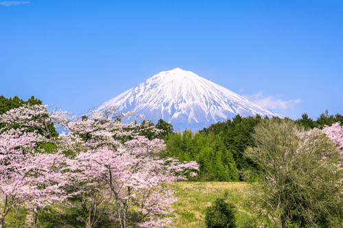 WANDBILD VULKAN FUJI - BILDER VON NATUR UND LANDSCHAFT - BILDER