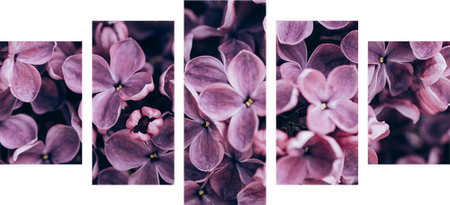 TABLEAU EN 5 PARTIES – FLEURS VIOLETTES DE LILAS - TABLEAUX DE FLEURS - TABLEAUX