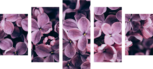 5-PIECE CANVAS PRINT PURPLE LILAC FLOWERS - PICTURES FLOWERS - PICTURES