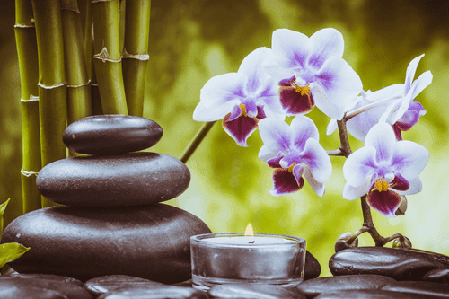 STAMPA SU TELA – NATURA MORTA SPA - QUADRI FENG SHUI - STAMPE E QUADRI