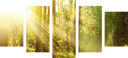 TABLEAU EN 5 PARTIES – RAYONS DE SOLEIL DANS LA FORÊT - TABLEAUX DE LA NATURE ET DES PAYSAGES - TABLEAUX