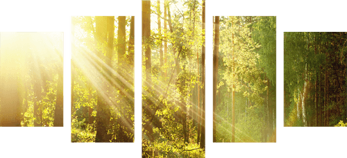 5-PIECE CANVAS PRINT SUN RAYS IN THE FOREST - PICTURES OF NATURE AND LANDSCAPE - PICTURES