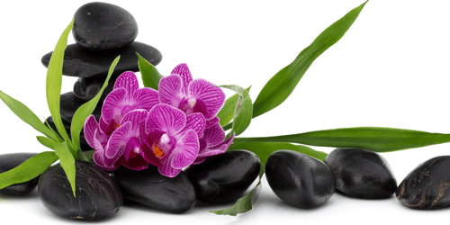 QUADRO ORCHIDEA VIOLA CON NATURA MORTA ZEN - QUADRI FENG SHUI - QUADRI