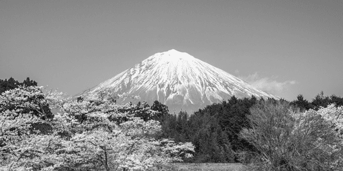CANVAS PRINT MOUNT FUJI IN BLACK AND WHITE - BLACK AND WHITE PICTURES - PICTURES