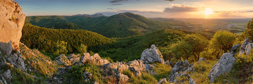 TABLOU NATURA SCUFUNDATĂ ÎN SOARE - TABLOU NATURĂ ȘI PEISAJE NATURALE - TABLOURI