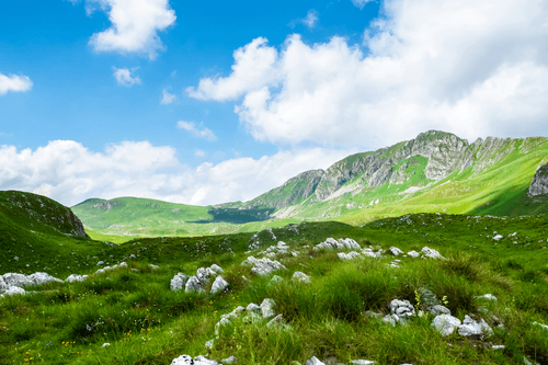 CANVAS PRINT VALLEY IN MONTENEGRO - PICTURES OF NATURE AND LANDSCAPE - PICTURES