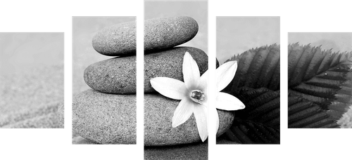 5-PIECE CANVAS PRINT FLOWER AND STONES IN SAND IN BLACK AND WHITE - BLACK AND WHITE PICTURES - PICTURES