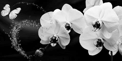 CANVAS PRINT ORCHID AND A BUTTERFLY ON AN ABSTRACT BACKGROUND - BLACK AND WHITE PICTURES - PICTURES