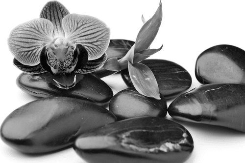 CANVAS PRINT MASSAGE WELLNESS STONES IN BLACK AND WHITE - BLACK AND WHITE PICTURES - PICTURES