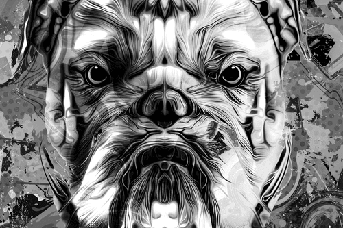 CANVAS PRINT BULLDOG IN BLACK AND WHITE - BLACK AND WHITE PICTURES - PICTURES