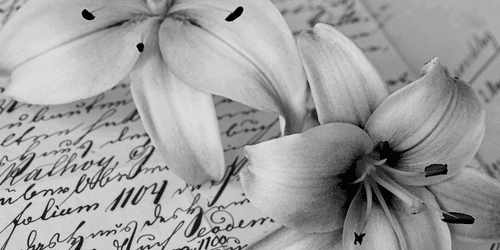 CANVAS PRINT LILY ON AN OLD DOCUMENT IN BLACK AND WHITE - BLACK AND WHITE PICTURES - PICTURES