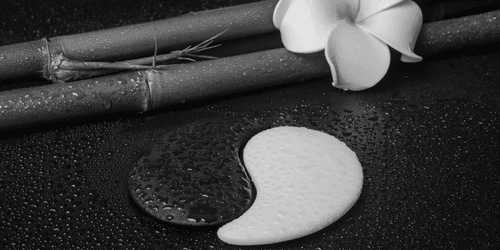 CANVAS PRINT SPA STILL LIFE WITH YIN AND YANG SYMBOL IN BLACK AND WHITE - BLACK AND WHITE PICTURES - PICTURES