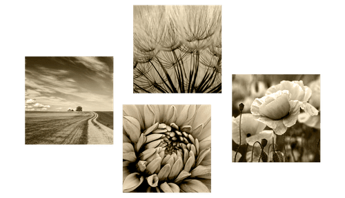 BILDERSET FELD MIT BLUMEN IN SEPIA - BILDERSETS - BILDER