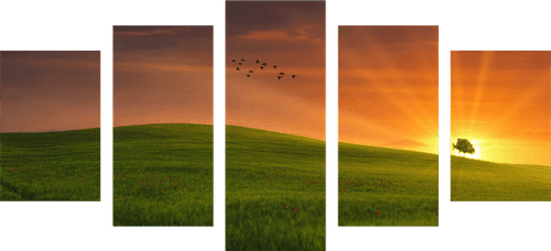 5-PIECE CANVAS PRINT TREE ON A MEADOW - PICTURES OF NATURE AND LANDSCAPE - PICTURES