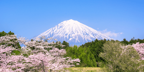 CANVAS PRINT MOUNT FUJI - PICTURES OF NATURE AND LANDSCAPE - PICTURES