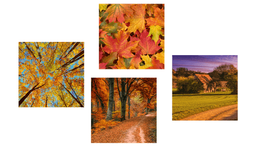 SET DI QUADRI DELLA NATURA COI COLORI DELL'AUTUNNO - COLLEZIONI DI QUADRI - QUADRI