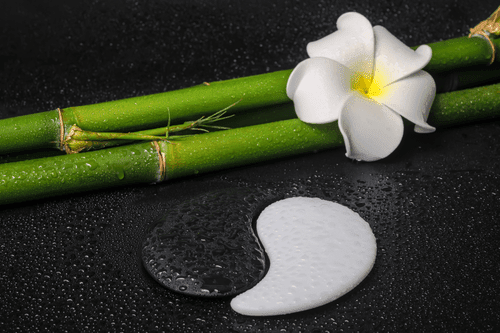 OBRAZ SPA ZÁTIŠÍ A KAMENY JIN A JANG - OBRAZY FENG SHUI - OBRAZY