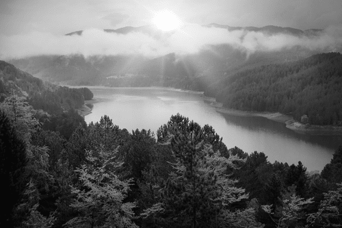 CANVAS PRINT RIVER IN THE MIDDLE OF THE FOREST IN BLACK AND WHITE - BLACK AND WHITE PICTURES - PICTURES