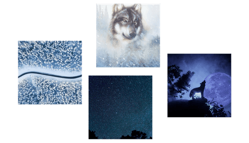 CANVAS PRINT SET LONE WOLF - SET OF PICTURES - PICTURES