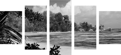 5-TEILIGES WANDBILD STRAND AUF DER INSEL LA DIGUE IN SCHWARZ-WEISS - SCHWARZ-WEISSE BILDER - BILDER