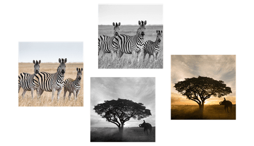 CANVAS PRINT SET ANIMALS LIVING ON THE SAVANNAH - SET OF PICTURES - PICTURES