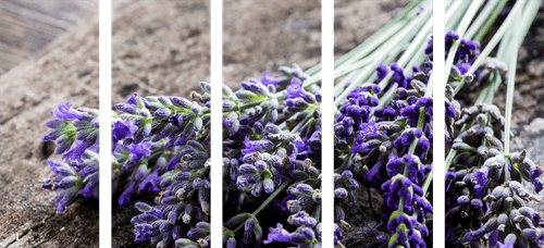 QUADRO IN 5 PARTI BOUQUET DI LAVANDA - QUADRI DI FIORI - QUADRI