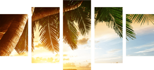 5-PIECE CANVAS PRINT SUNRISE ON A CARIBBEAN BEACH - PICTURES OF NATURE AND LANDSCAPE - PICTURES