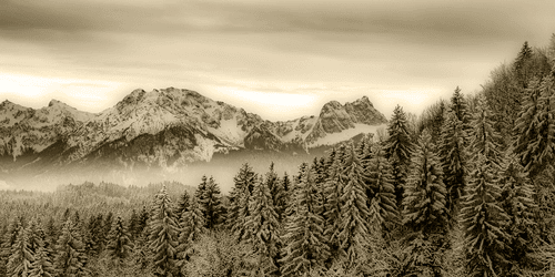 WANDBILD WINTER IN DEN BERGEN IN SEPIA - SCHWARZ-WEISSE BILDER - BILDER