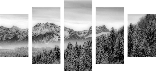 5-PIECE CANVAS PRINT FROZEN MOUNTAINS IN BLACK AND WHITE - BLACK AND WHITE PICTURES - PICTURES