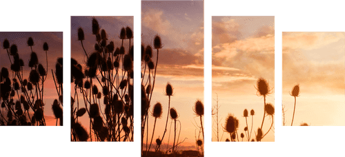 5-PIECE CANVAS PRINT GRASS BLADES IN A FIELD - PICTURES OF NATURE AND LANDSCAPE - PICTURES
