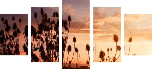 5-TEILIGES WANDBILD GRASHALME AUF DEM FELD - BILDER VON NATUR UND LANDSCHAFT - BILDER