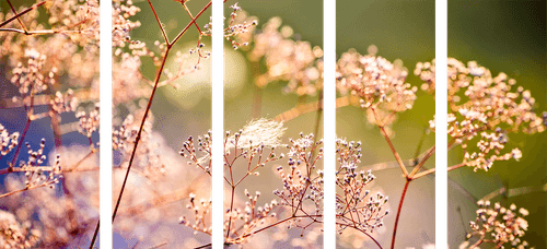 QUADRO IN 5 PARTI DI UN FIORE - QUADRI DI NATURA E PAESAGGIO - QUADRI