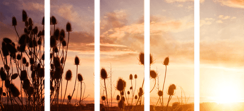 5-PIECE CANVAS PRINT GRASS BLADES AT SUNRISE - PICTURES OF NATURE AND LANDSCAPE - PICTURES