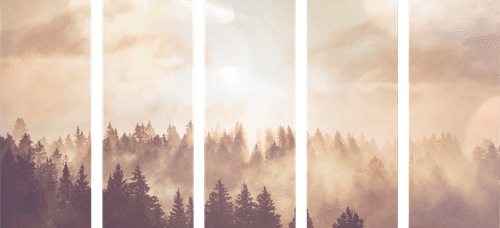 5-PIECE CANVAS PRINT MISTY FOREST - PICTURES OF NATURE AND LANDSCAPE - PICTURES