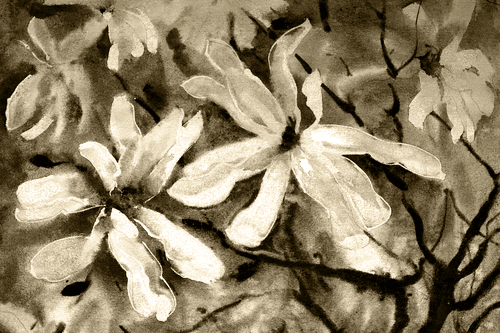 WANDBILD AUFGEBLÜHTER AQUARELLBAUM IN SEPIA - SCHWARZ-WEISSE BILDER - BILDER