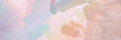 OBRAZ KOUZELNÝ ODRAZ LISTŮ VE VODĚ - OBRAZY STROMY A LISTY - OBRAZY