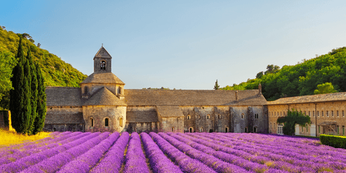 CANVAS PRINT PROVENCE WITH LAVENDER FIELDS - PICTURES OF CITIES - PICTURES